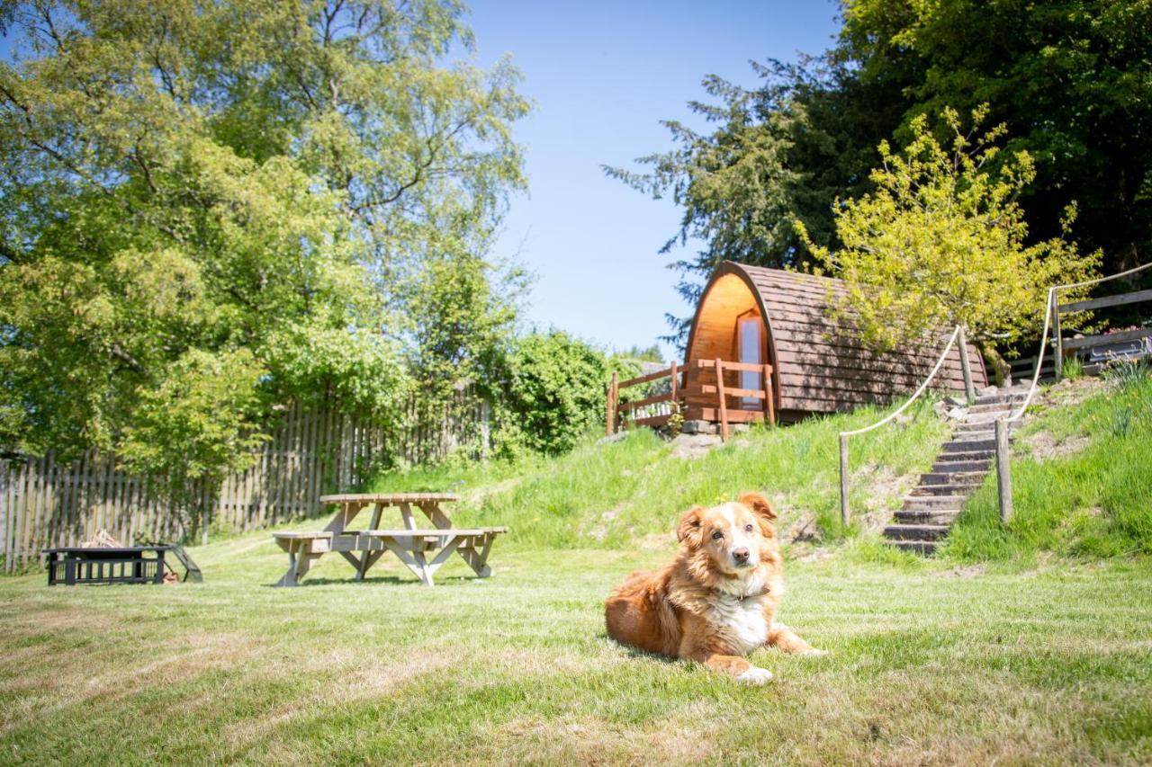 Campsite Ty Grug Pods Bryngwyn