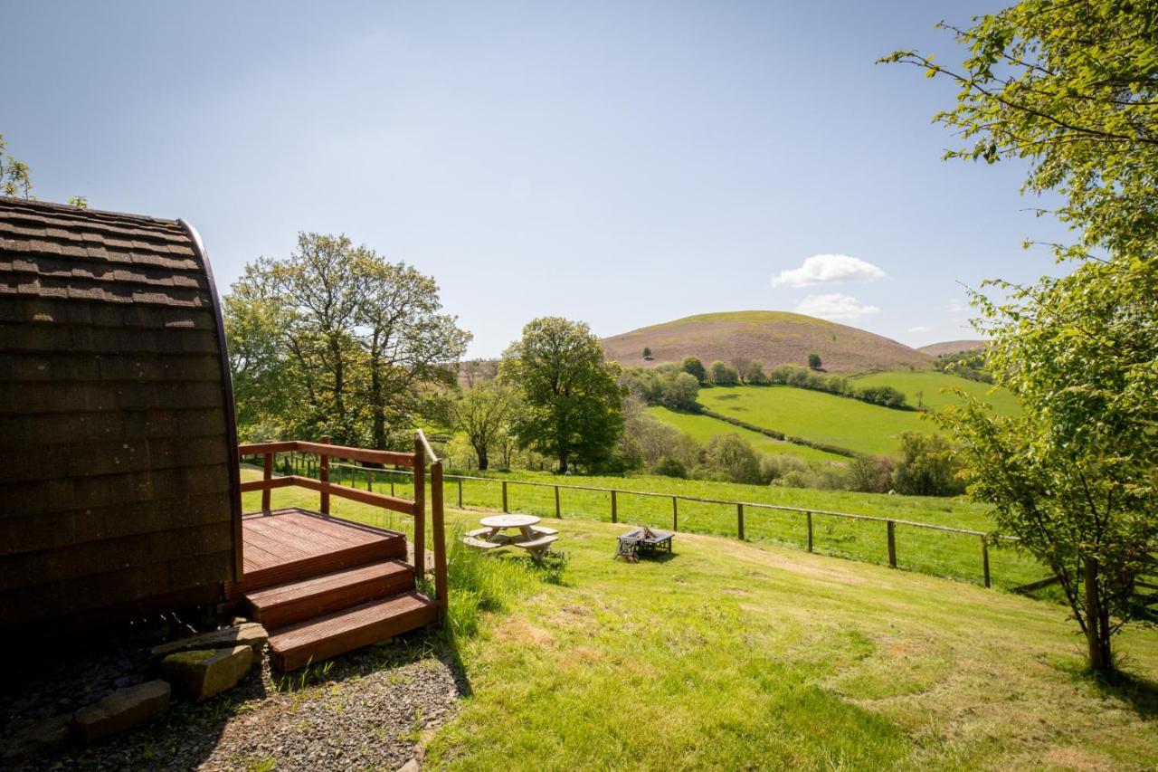Ty Grug Pods Bryngwyn